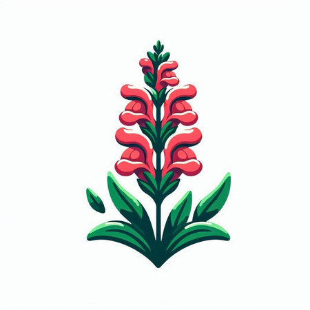 Illustration of a red foxglove isolated on a white backgroundのイラスト素材