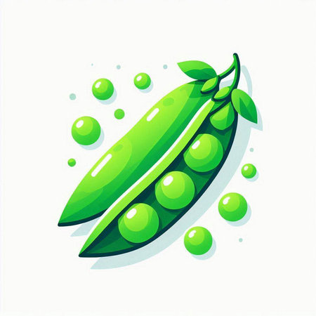 Green peas vector illustration isolated on white background. Fresh green peas icon.のイラスト素材