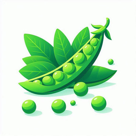 Green peas and leaves isolated on a white background. Vector illustration.のイラスト素材