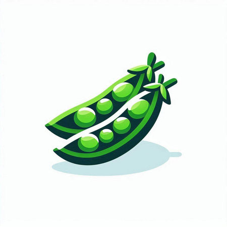 peas on a white background, vector illustration, eps 10のイラスト素材