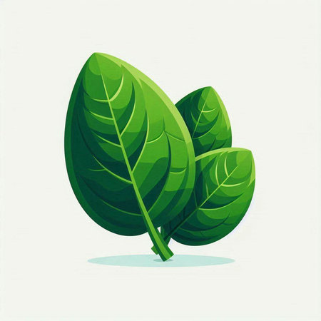 Green leaves isolated on white background. Vector illustration. Eps 10.のイラスト素材