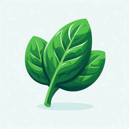 Spinach icon. Vector illustration of fresh green spinach leaves.のイラスト素材