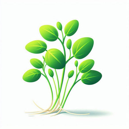 Sprouts of soybean on a white background. Vector illustration.のイラスト素材