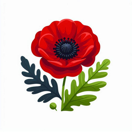 Red poppies with green leaves isolated on white background. Vector illustration.のイラスト素材