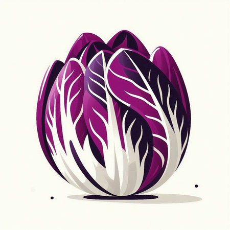 Illustration of a purple chinese cabbage isolated on a white backgroundのイラスト素材