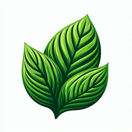 Green leaf isolated on white background. Vector illustration. Eps 10.のイラスト素材