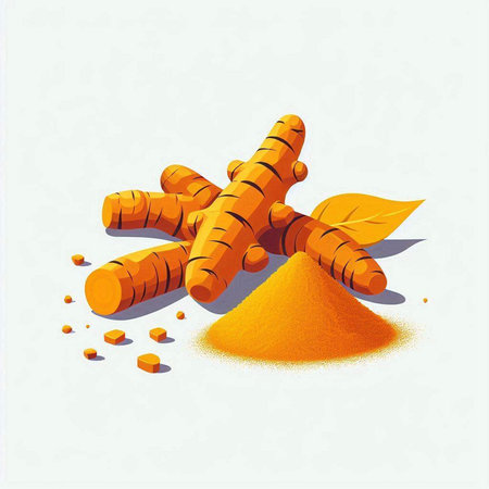 Turmeric root and powder on a white background. Vector illustration.のイラスト素材