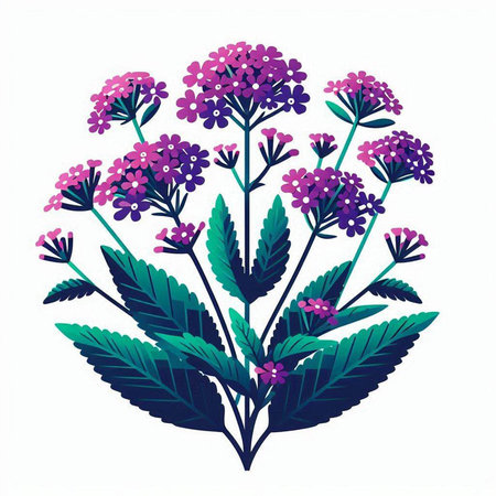 Bouquet of lavender flowers. Hand drawn vector illustration.のイラスト素材