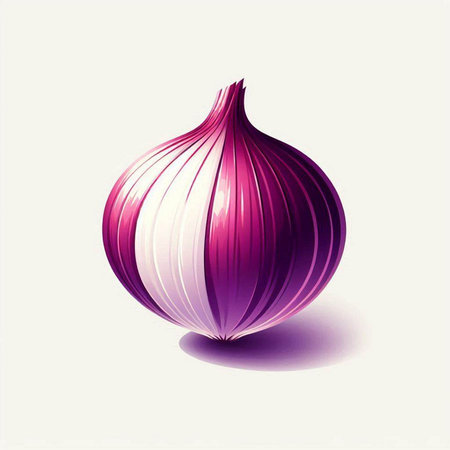 Illustration of red onion on a white background. Vector illustration.のイラスト素材