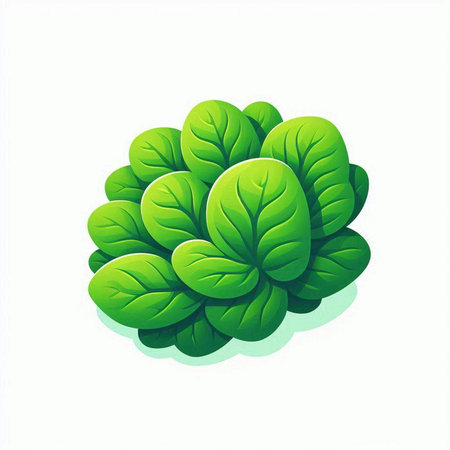 green salad on white background, vector illustration, eps10.のイラスト素材