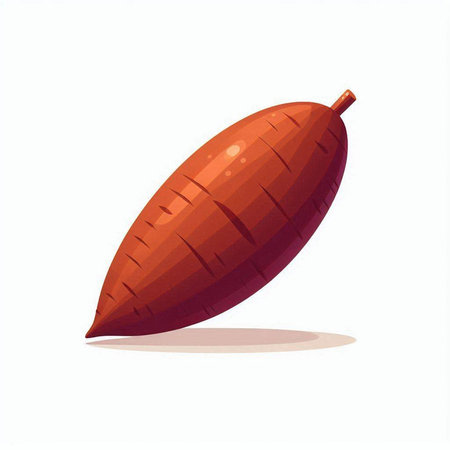 Sweet potato isolated on white background. Vector illustration in cartoon style.のイラスト素材