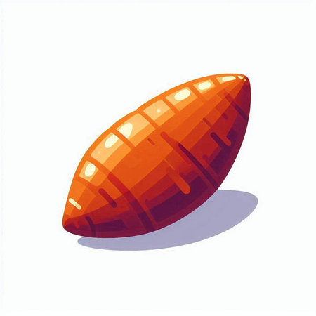 Illustration of a sweet potato on a white background. Vector illustration.のイラスト素材