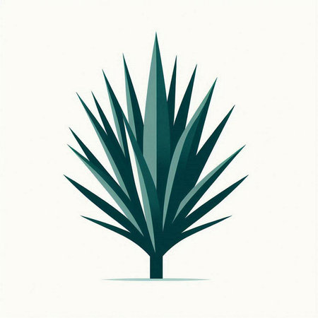 Illustration of a palm tree isolated on a white background - vectorのイラスト素材