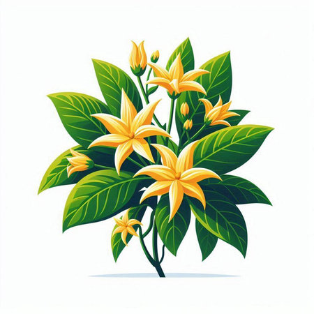 Beautiful yellow flowers and green leaves isolated on white background. Vector illustration.のイラスト素材