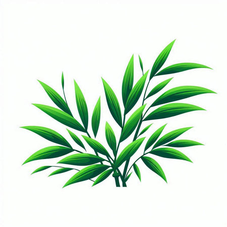 Illustration of a green bamboo branch isolated on a white background.のイラスト素材
