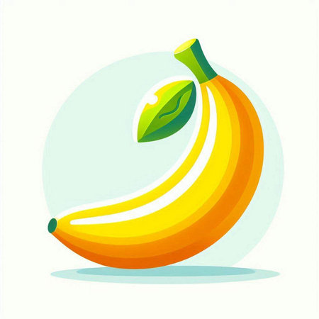 Banana fruit vector illustration. Isolated on a white background.のイラスト素材