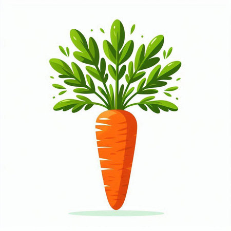 Carrot with green leaves. Vector illustration isolated on white background.のイラスト素材