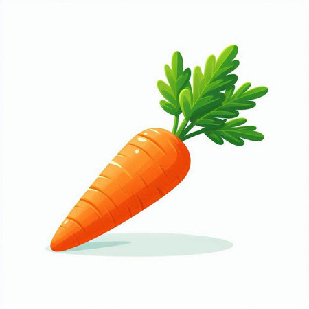 Carrot isolated on white background. Vector illustration. Eps 10.のイラスト素材