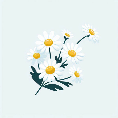 chamomile flowers on a light blue background. vector illustration.のイラスト素材