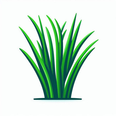 Grass isolated on white background. Vector illustration. Eps 10.のイラスト素材