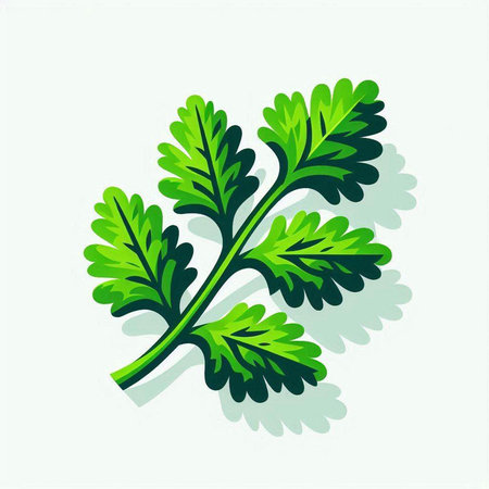 Parsley leaves icon isolated on white background. Vector illustration.のイラスト素材