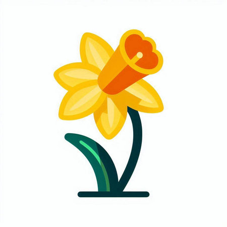 Daffodil flower icon. Flat vector illustration isolated on white background.のイラスト素材