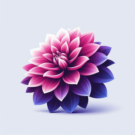 Illustration of a pink dahlia flower on a blue backgroundのイラスト素材