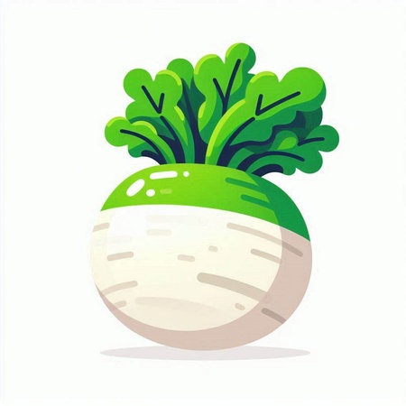 Vegetable in the form of a turnip. Vector illustration.のイラスト素材