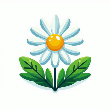 Daisy flower with green leaves on white background. Vector illustration.のイラスト素材