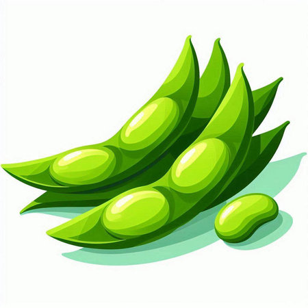Illustration of green soybeans on a white background. Vector illustrationのイラスト素材