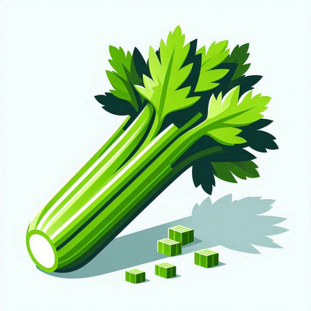Celery on a white background. Vector illustration. Eps 10のイラスト素材