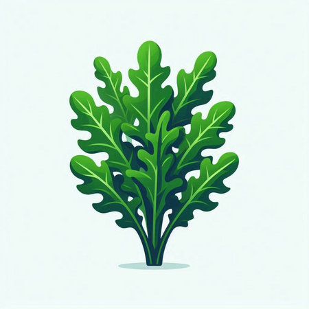 Fresh arugula leaves on light background. Vector flat illustration.のイラスト素材