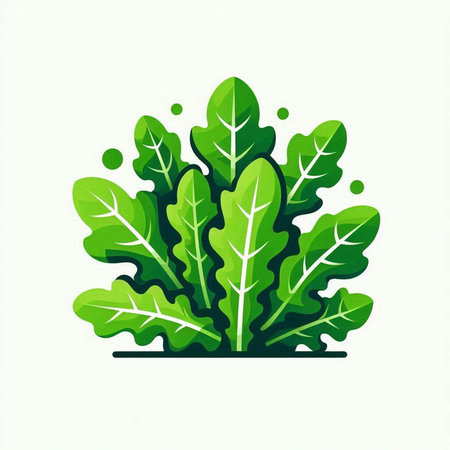 Leafy green organic food icon. Isolated vector illustration.のイラスト素材