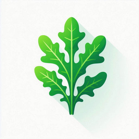 Leaves of arugula. Flat design. Vector illustration.のイラスト素材