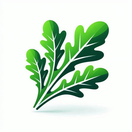 Leaf arugula icon. Vector illustration. Eps 10.のイラスト素材