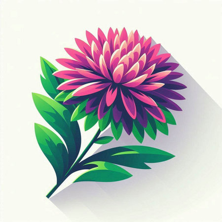 Vector illustration of a pink chrysanthemum on a white backgroundのイラスト素材