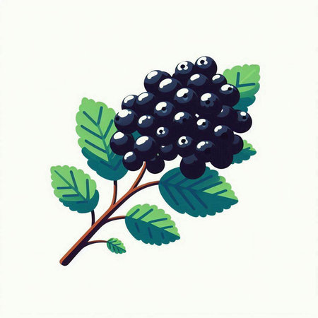 Black currant berries on a branch with leaves. Vector illustration.のイラスト素材