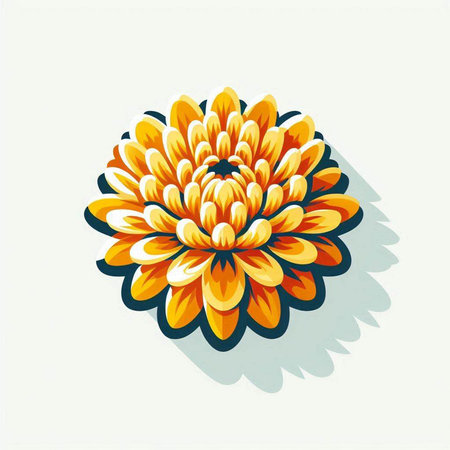 Orange chrysanthemum on white background. Vector illustration.のイラスト素材