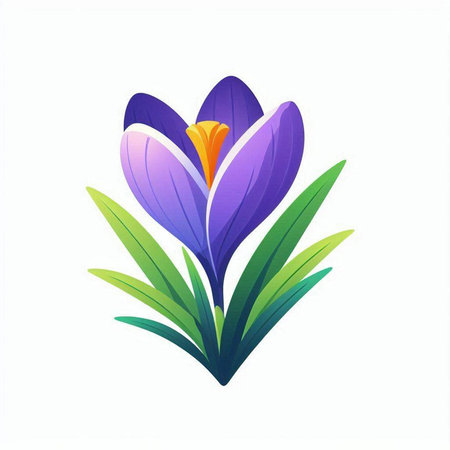 Spring crocus flower. Vector illustration in flat style. Isolated on white background.のイラスト素材