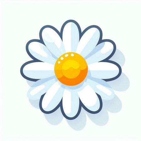 Daisy flower on white background. Vector illustration in cartoon style.のイラスト素材
