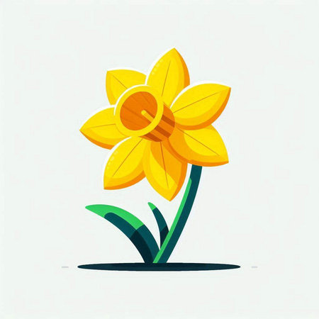 Vector illustration of a yellow daffodil on a white backgroundのイラスト素材
