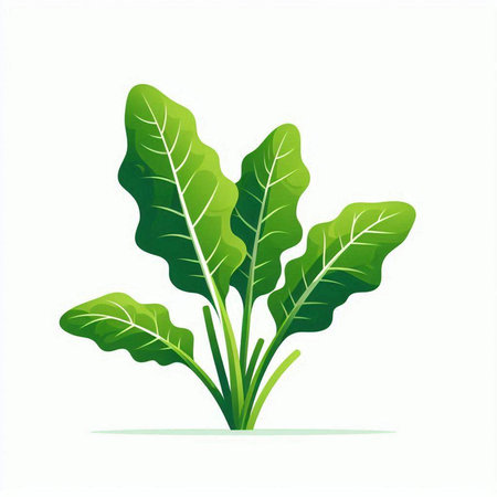 Vector illustration of green leaves. Isolated on white background. Flat style.のイラスト素材