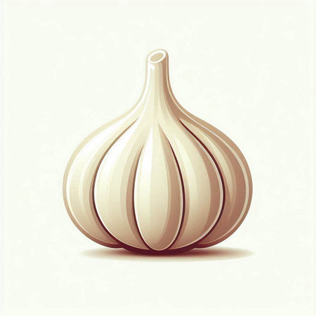 Garlic on a white background, vector illustration, eps10のイラスト素材