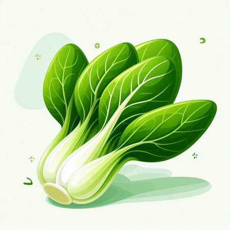 Bok choy fresh vegetable vector illustration. Healthy vegetarian food.のイラスト素材