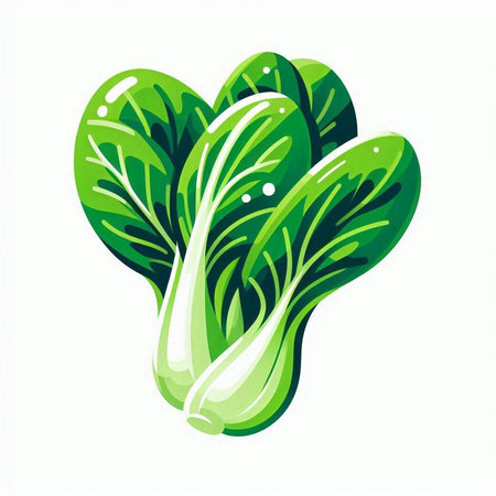 Bok choy fresh vegetable vector illustration isolated on white background.のイラスト素材