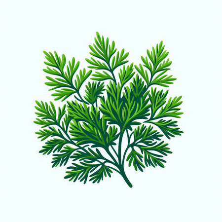 Fresh green dill isolated on a white background. Vector illustration.のイラスト素材