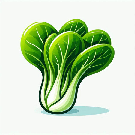 Bok choy fresh vegetable isolated on white background. Vector illustration.のイラスト素材