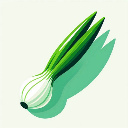 Illustration of fresh green onion on white background. Vector illustration.のイラスト素材