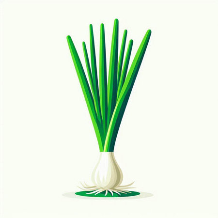 green onion isolated on white background. Vector illustration. Eps 10.のイラスト素材