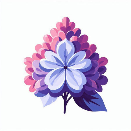 Beautiful purple and pink flower on white background. Vector illustration.のイラスト素材